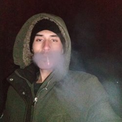 Daler