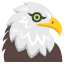 :eagle: